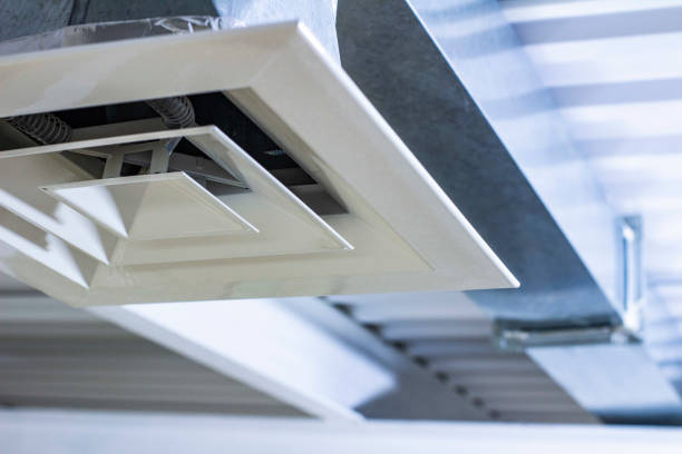 Best Air Duct Sanitizing Services  in Loves Park, IL