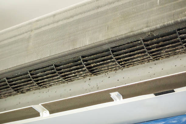 Best Air Duct Cleaning Near Me  in Loves Park, IL